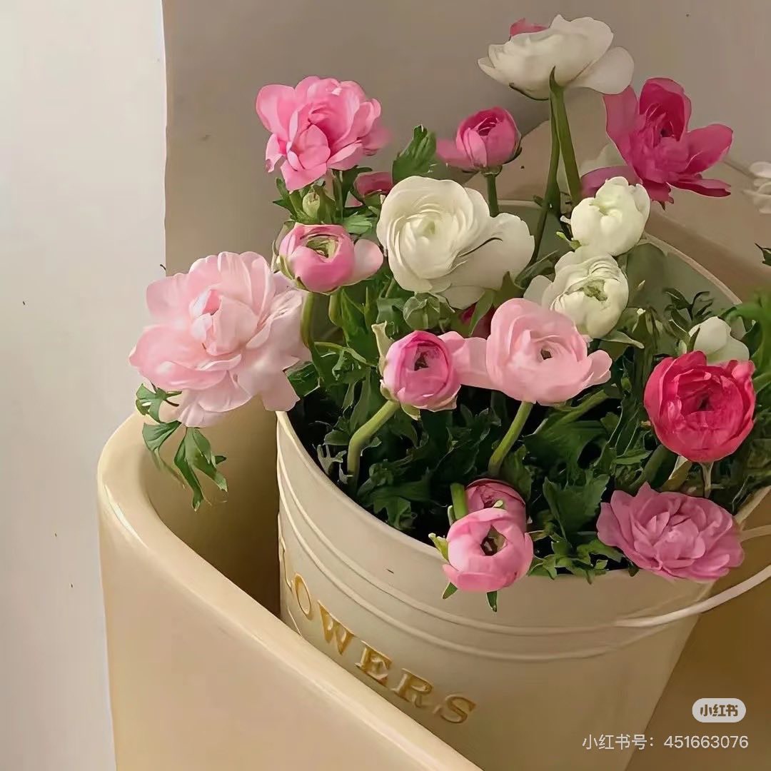 Rực Sáng Sau Những Ngày Tăm Tối